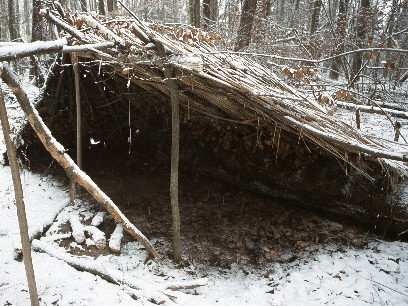 Wilderness Survival Basics (2 Days) – Bushcraft Yukon